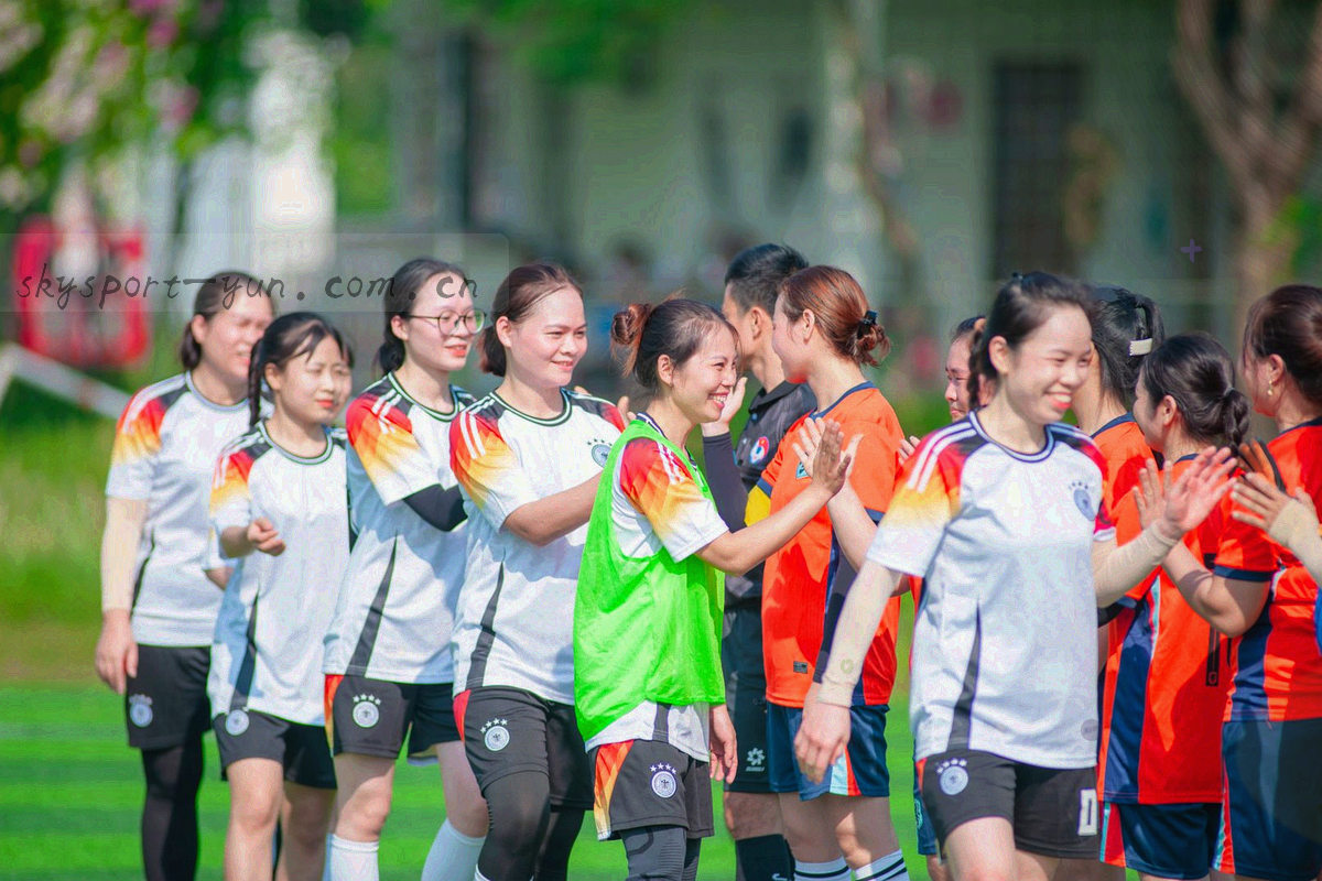 手机界面组图：安装包获取、权限确认，以及登录后“我的”第二栏的订阅与导出入口